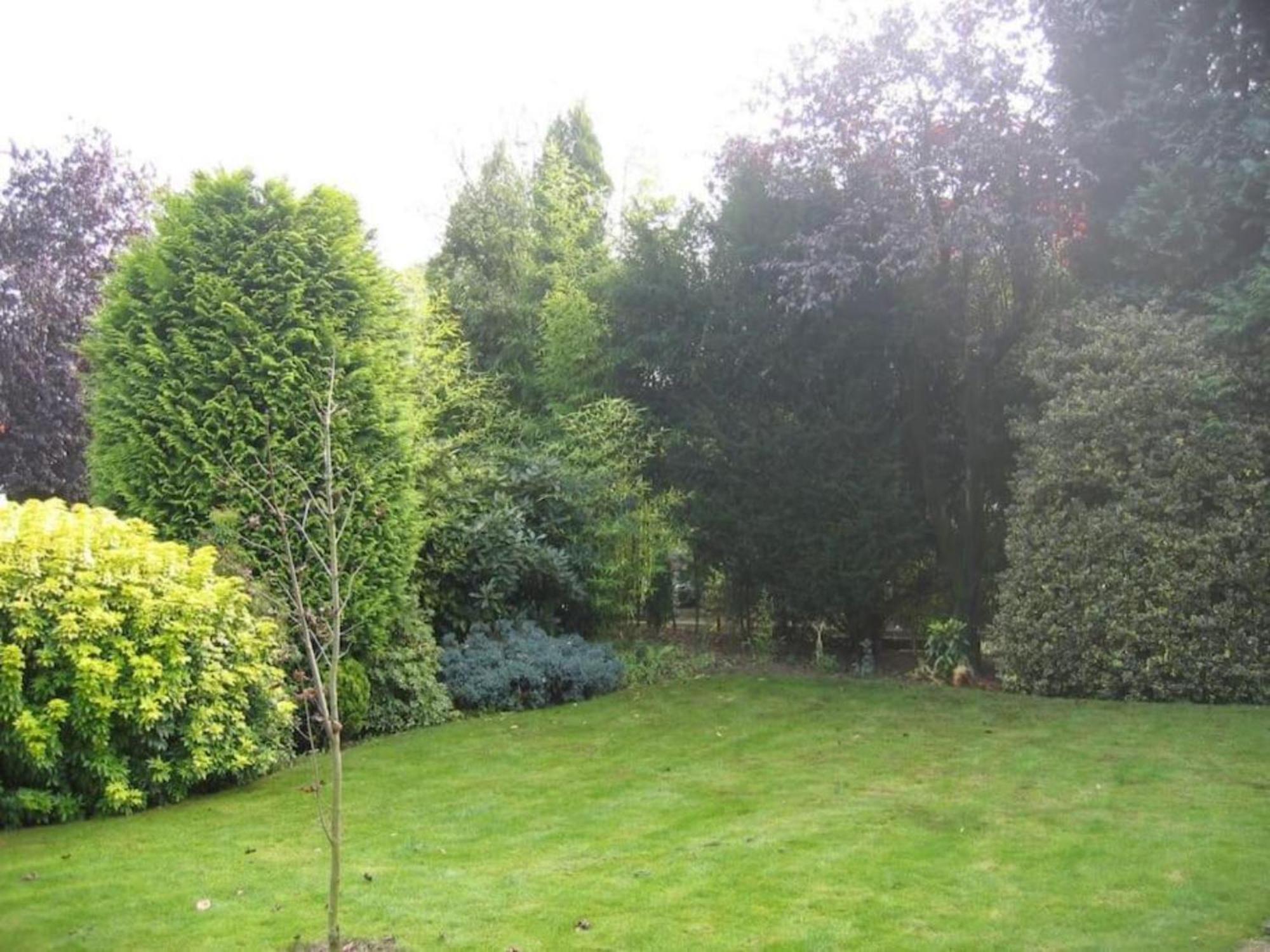 Front Room In Villa Near Centre And Tue Eindhoven Exterior foto